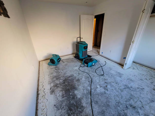 Best Water damage restoration near me  in Fuller Heights, FL