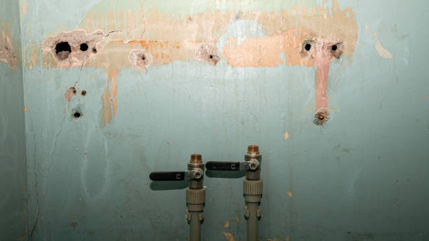Best Flooded house restoration  in Fuller Heights, FL