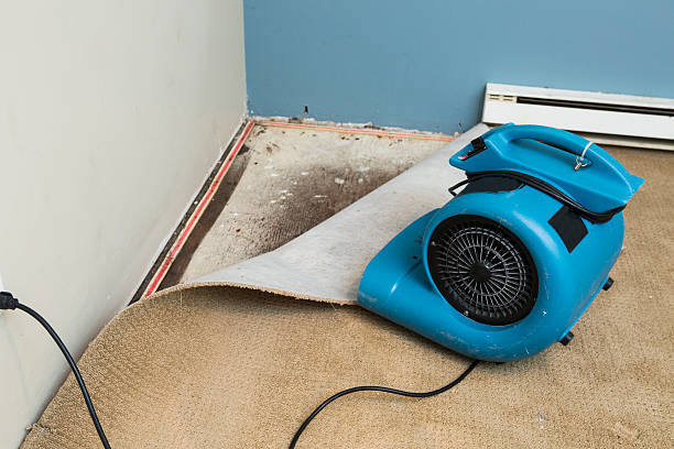 Best Water damage contractors near me  in Fuller Heights, FL